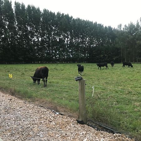 Brookside Country Escape 40 Minutes To Chc Airport Hotel Leeston Kültér fotó