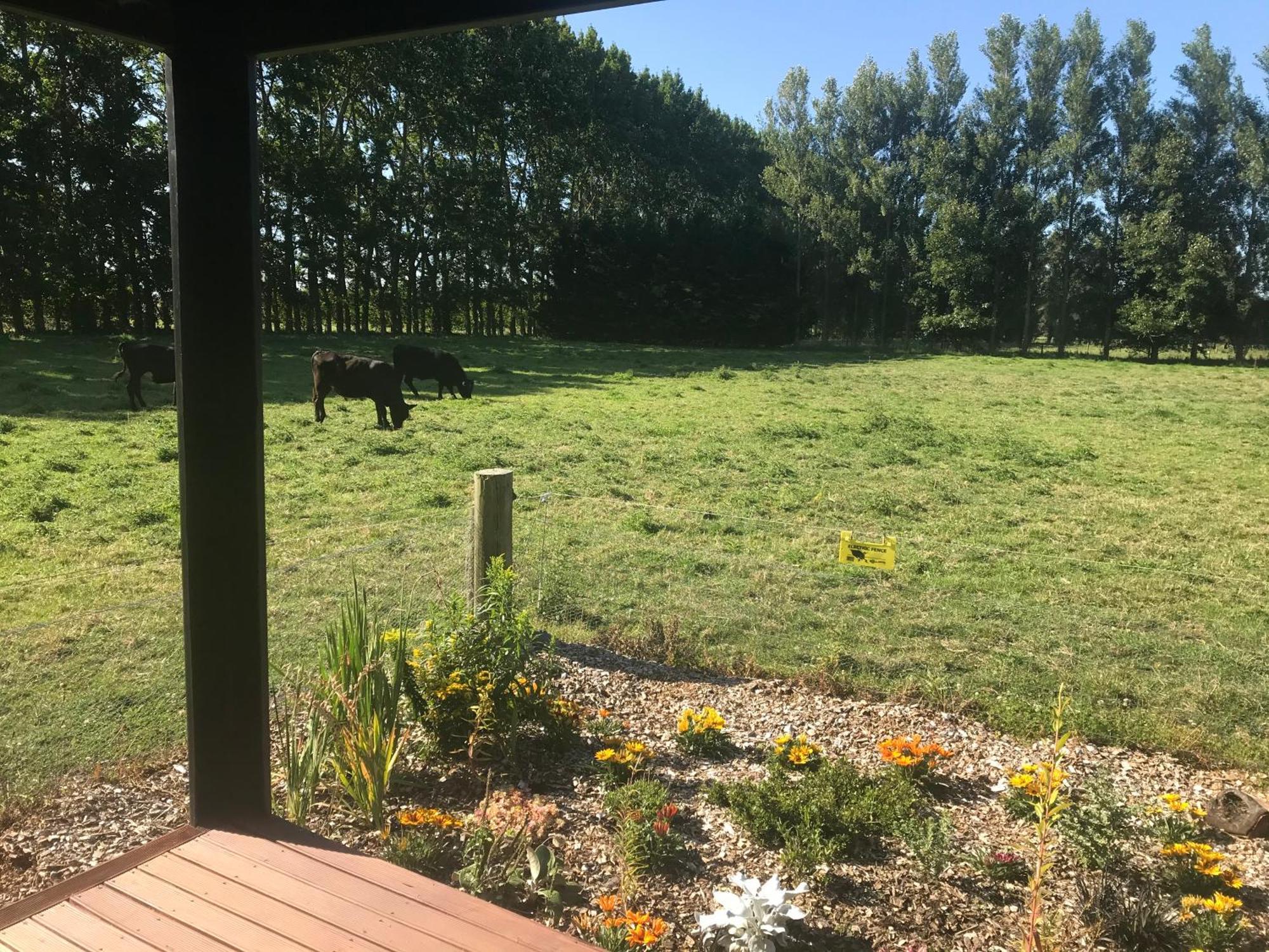 Brookside Country Escape 40 Minutes To Chc Airport Hotel Leeston Kültér fotó